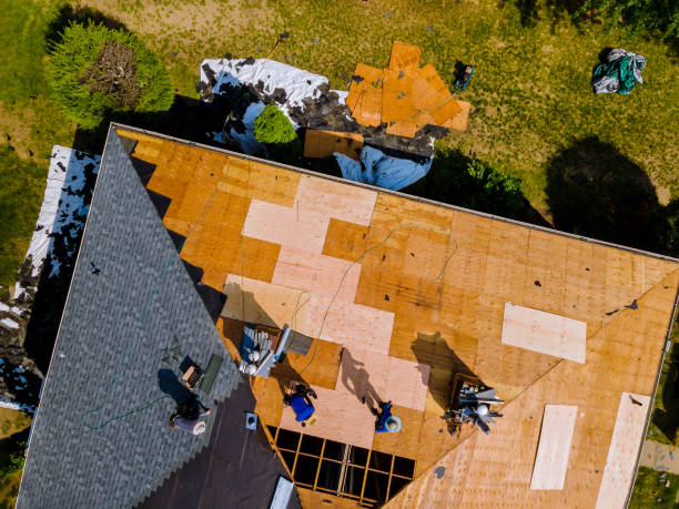 Best Storm Damage Roof Repair  in Glenolden, PA