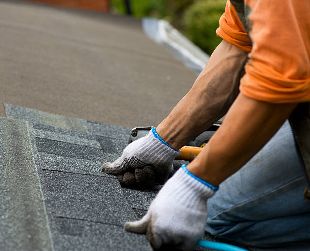 Best Roof Gutter Cleaning  in Glenolden, PA