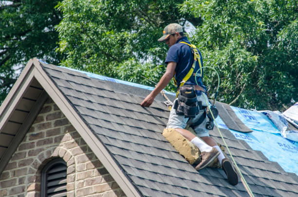 Best Shingle Roofing Installation  in Glenolden, PA